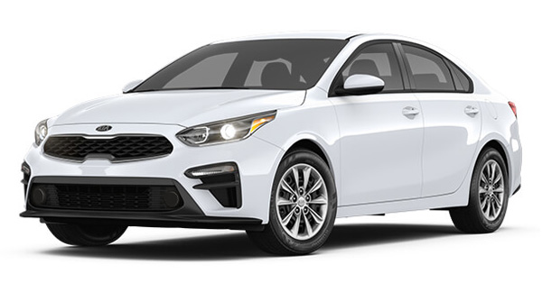 FORTE LX BM 2020